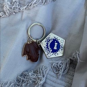 Harry Potter chocolate frog key chain